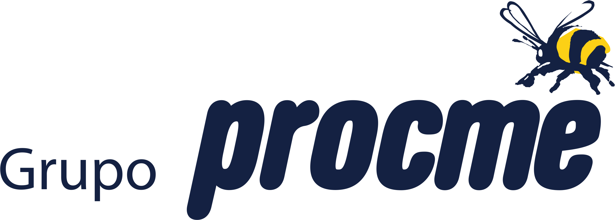 Procme Logo